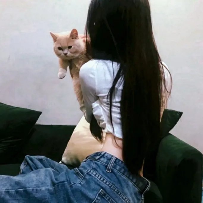 非枪人生第二季